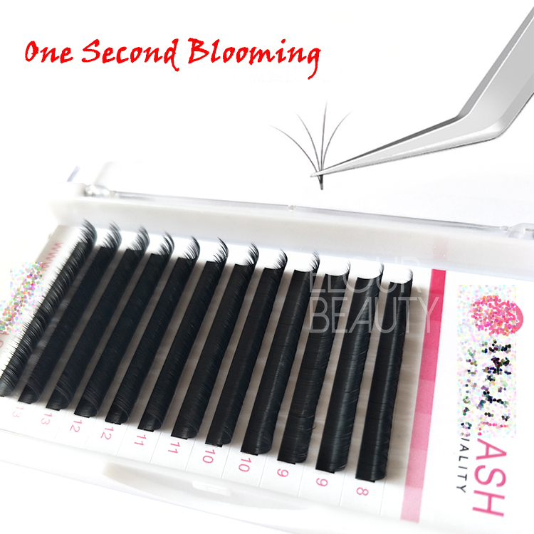 Newest no base one second bloom camellia eye lash extensions Brisbane EL37